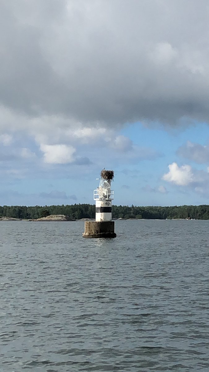 sygalathea's tweet photo. Harvinainen kohtaaminen: kalasääski on kesän kuluessa rakentanut pesän sektoriloiston katolle. @TraficomFinland on saanut loistolleen yllättävän vuokralaisen. Hienoa oli seurata kalasääsken lentoja. #purjehdus #segling #kalasääski #linnut https://t.co/bmsbkE0vyc