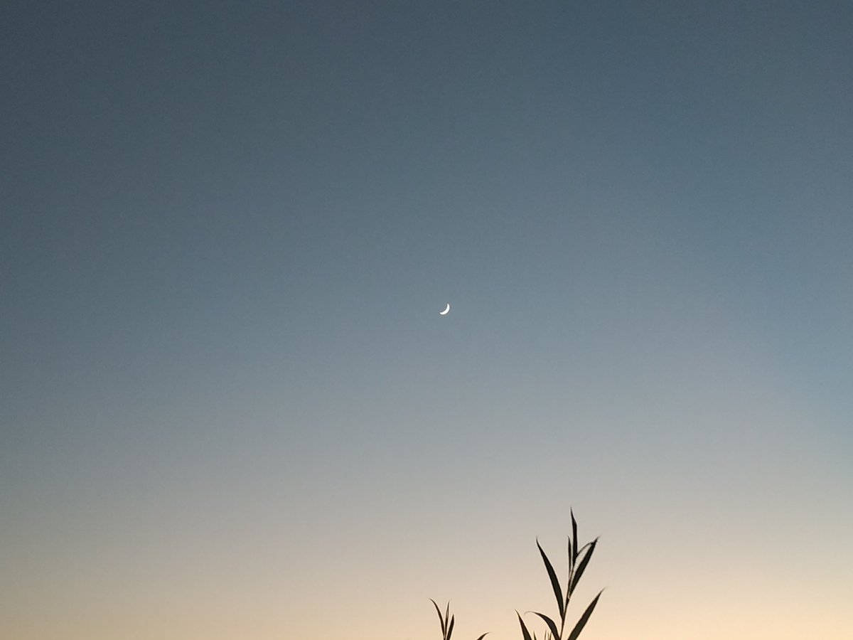 Trust_mie's tweet photo. #kashmir #Anantnag https://t.co/42oGzkmVtz