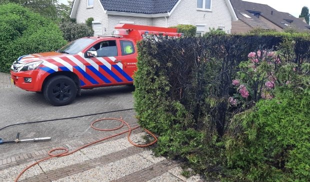 Brandweer rukt uit voor brand in heg -..
