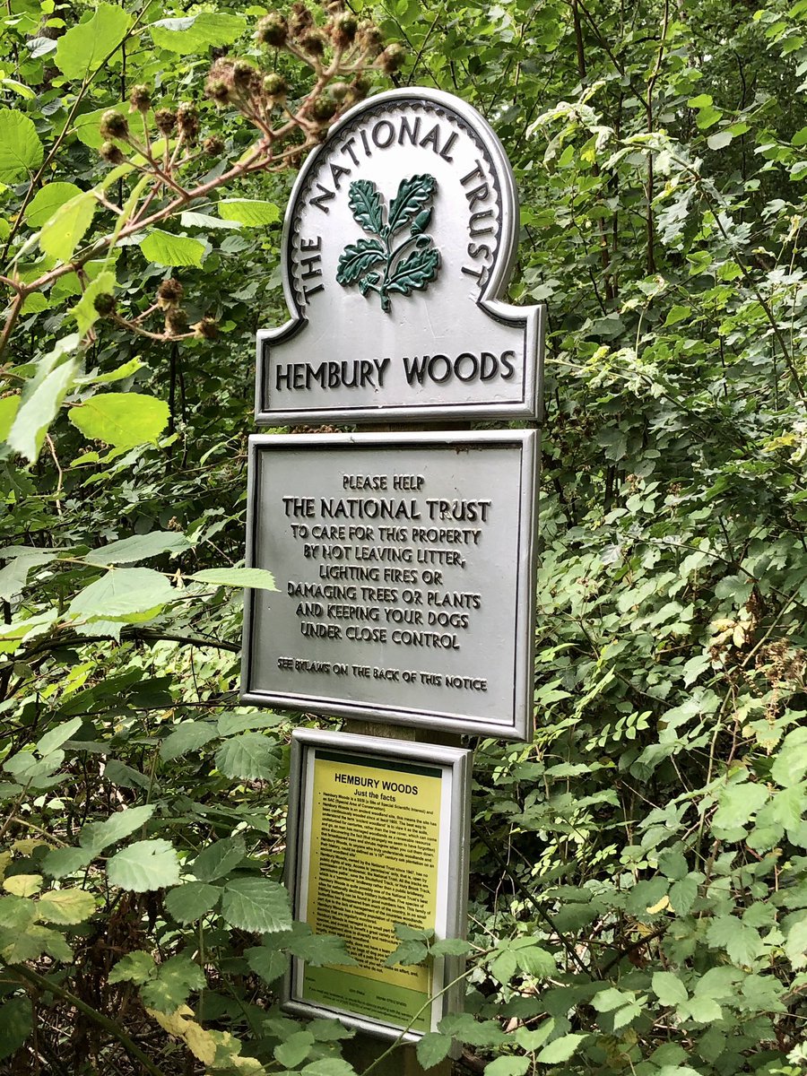 loulouscorpio's tweet photo. Great 6 mile walk yesterday with ☕️ in the woods with great company! 🦋🌲👣🐞🍁🌲🍄😃 #LETSMOVEDEVON #MoreMovement #MotionIsLotion @Trewern_K @activedevon @RamblersGB @WorksWalking @healthywalks @DevonRamblers @PhysioPainAssoc @get_btr @BritishPainSoc @livewellpain https://t.co/3dUeWLGLsW