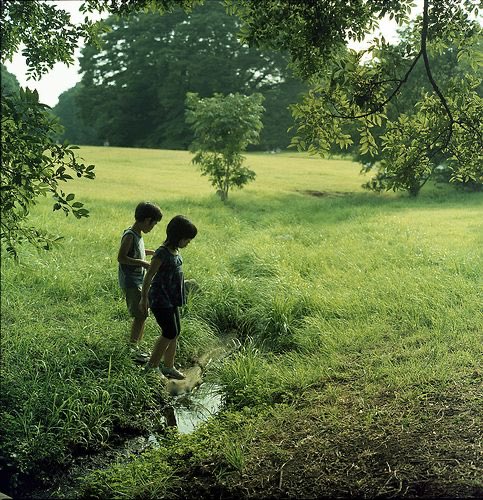 picnic and exploring with the kids