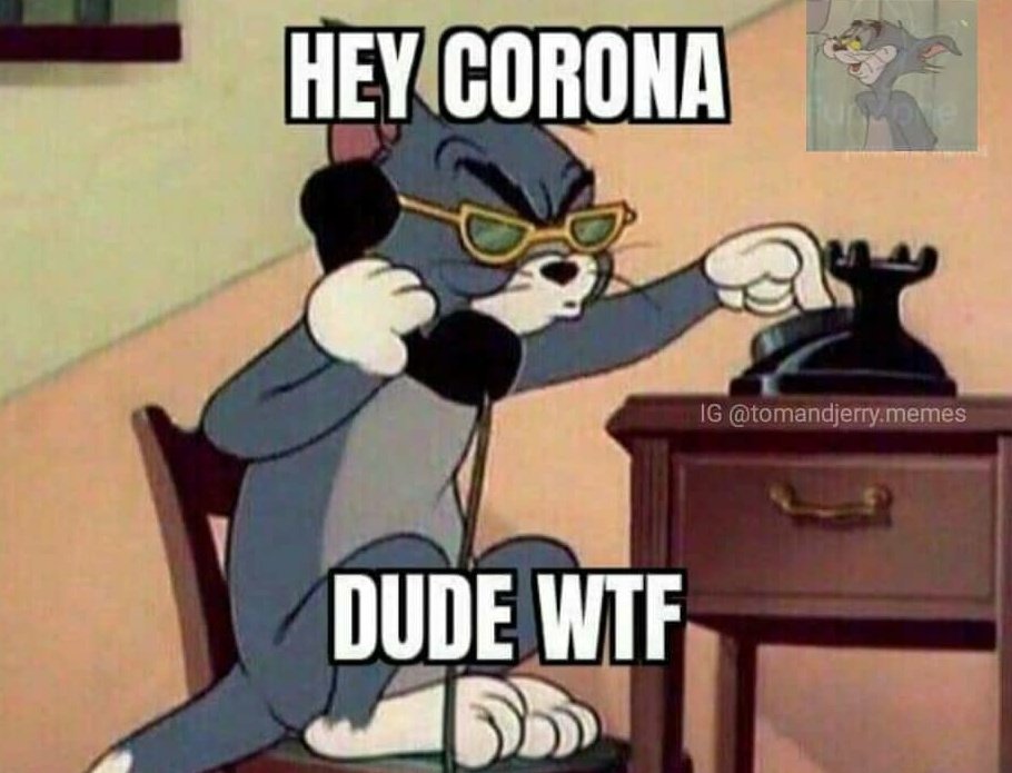 LaltenJ's tweet photo. Government Announces Reopening of School Due To Decline In Corona Cases
.
Mean While Students: https://t.co/fFXVyNcUhf