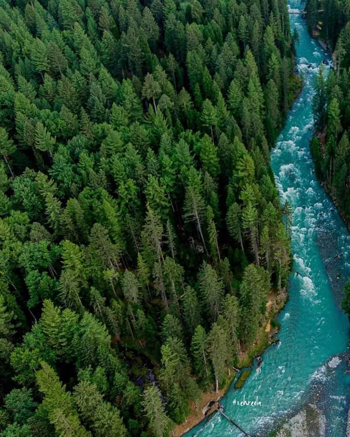 PTI_Ki_Muskaan's tweet photo. Paradise on earth #Kumratvalley KPK Pakistan
which is a charming tourists spot.
Look at the lush and greenery around
@Team__KPK
#BeautifulKPK
#BeautifulPakistan https://t.co/ntBuldRF9G
