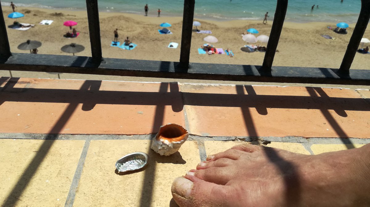 ErnestF3rre's tweet photo. Això està tenint exit !
#fotodemerda https://t.co/yeVk260aWO
