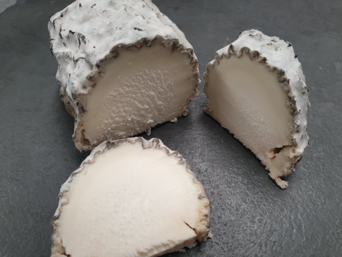 RibblesdaleC's tweet image. This is a miniature #goatashlog, don't ask....I decided to cut it open to sample it. Wow. Not bad and it slices beautifully. Not often I cut these as they are made to order in tight quantities, never any spare.