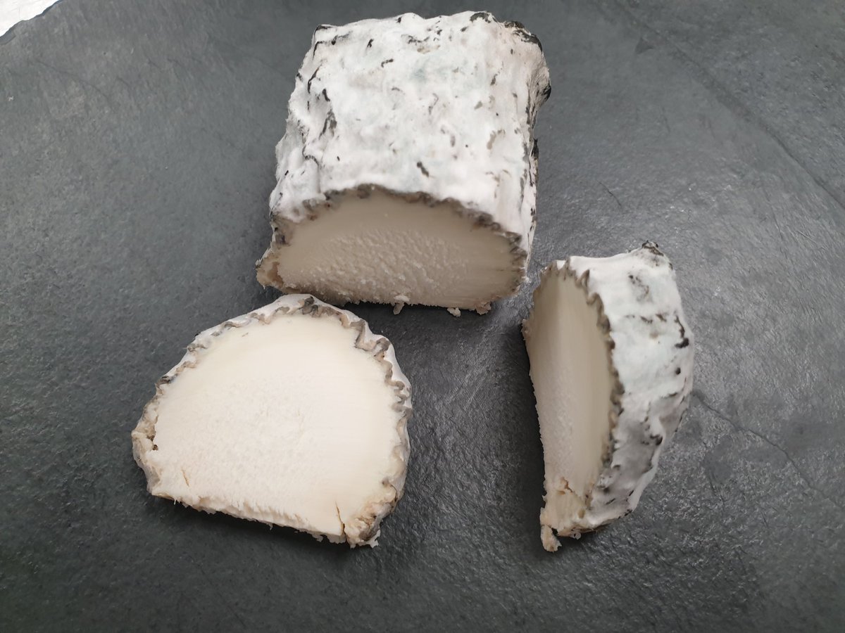 RibblesdaleC's tweet image. This is a miniature #goatashlog, don't ask....I decided to cut it open to sample it. Wow. Not bad and it slices beautifully. Not often I cut these as they are made to order in tight quantities, never any spare.