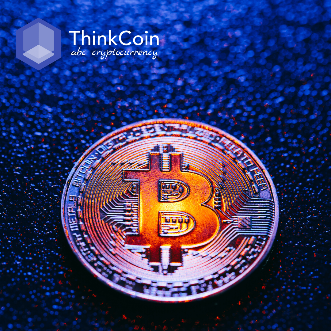 ThinkCoin1's tweet photo. Bitcoin nasce come moneta digitale nel 2009, da allora il suo valore è cresciuto in maniera spaventosa!

Incuriosisciti e scopri le novità che possono riservarti le criptovalute.

🔵Scrivimi per info gratuite! https://t.co/naRn6FHCbZ