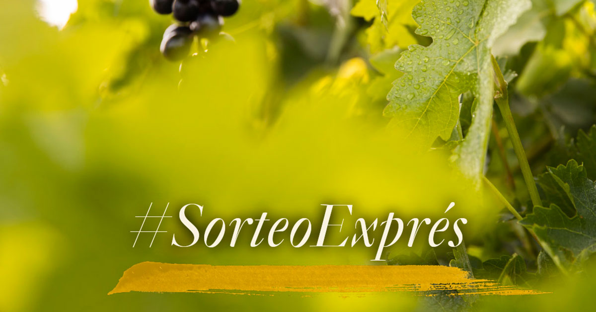 ¡Concurso Faustino! Estamos regalando 5 packs con 3 botellas para los #FaustinoExpert que adivinen todas las variedades de uva de nuestra última publicación de Instagram. ¡Participa en nuestro perfil!
👉instagram.com/faustinobodega…