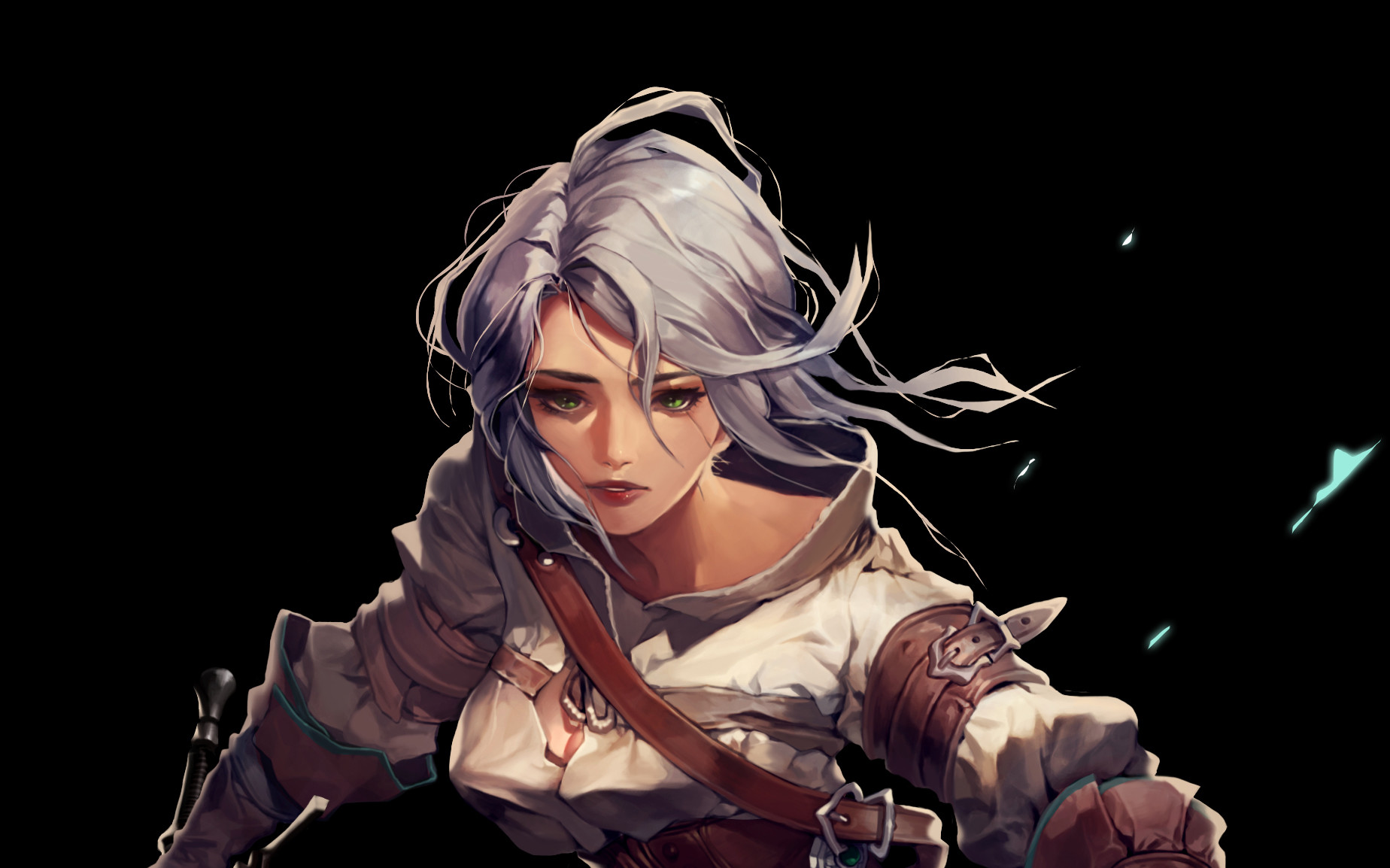 Cd Projekt Red Japan ファンアート シリ 作者 Sadanggandy