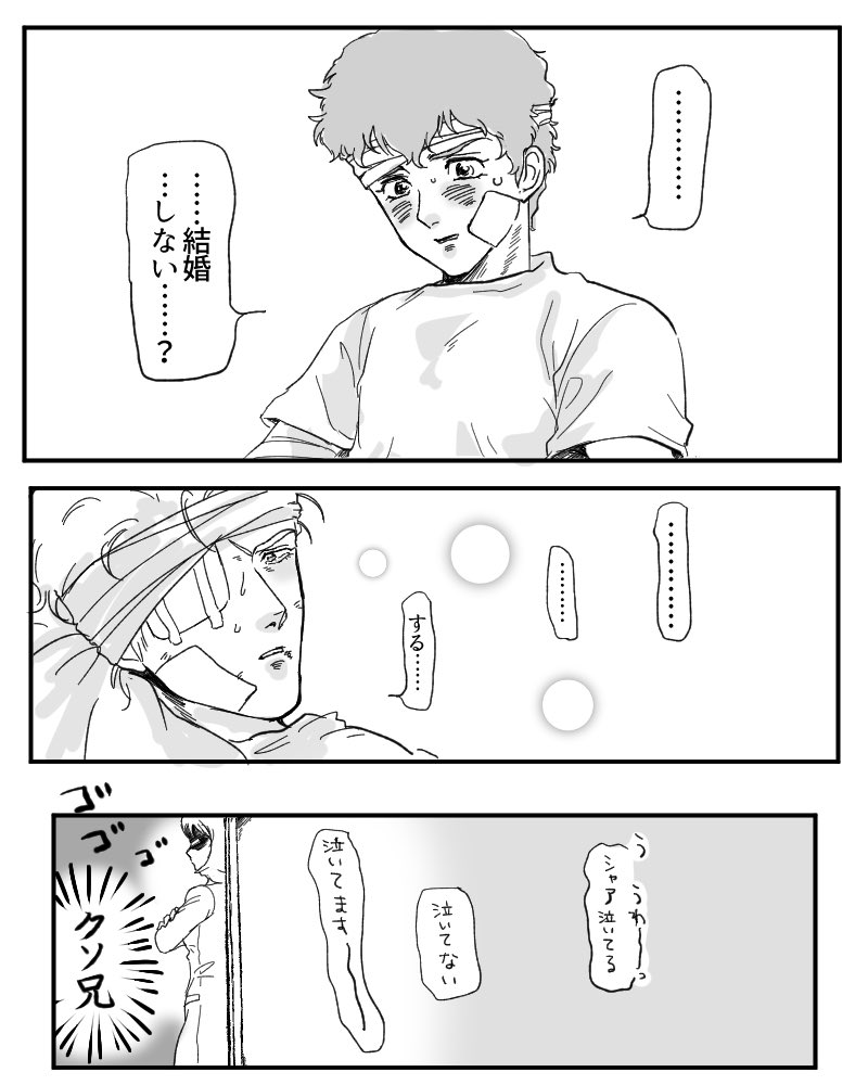 生還シャアム (再掲) 