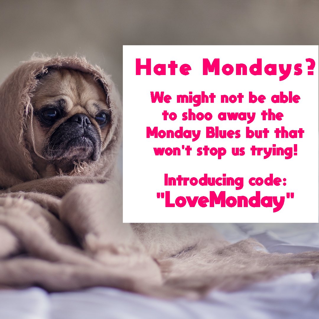 thezippyco's tweet photo. Every Monday we are going to be offering 15% off selected products! This week our chosen range is the tea and coffee range! Use code “LoveMonday” to qualify ☕️ #discount #MondayBlues https://t.co/adTTsli282
