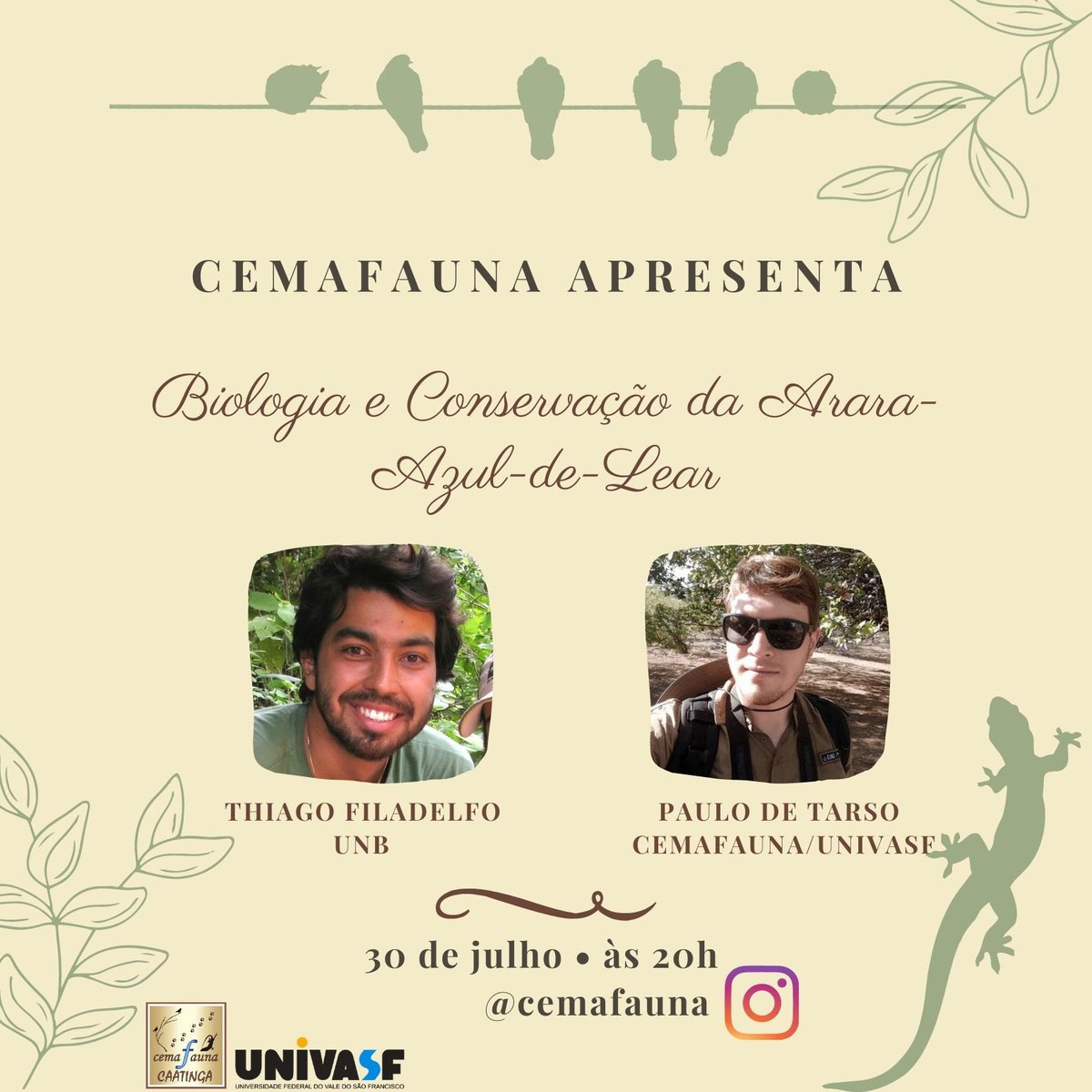 CemafaunaC's tweet photo. Em comemoração aos seus 12 anos, o @CemafaunaC irá fazer uma série de lives sobre temas relacionados a fauna. A segunda live acontecerá no dia 30.07 as 20h pelo Instagram.
Não perca, comemore conosco!
#cemafauna  #cemafaunapetrolina #live #araraazuldelear https://t.co/hpSdroXD8k
