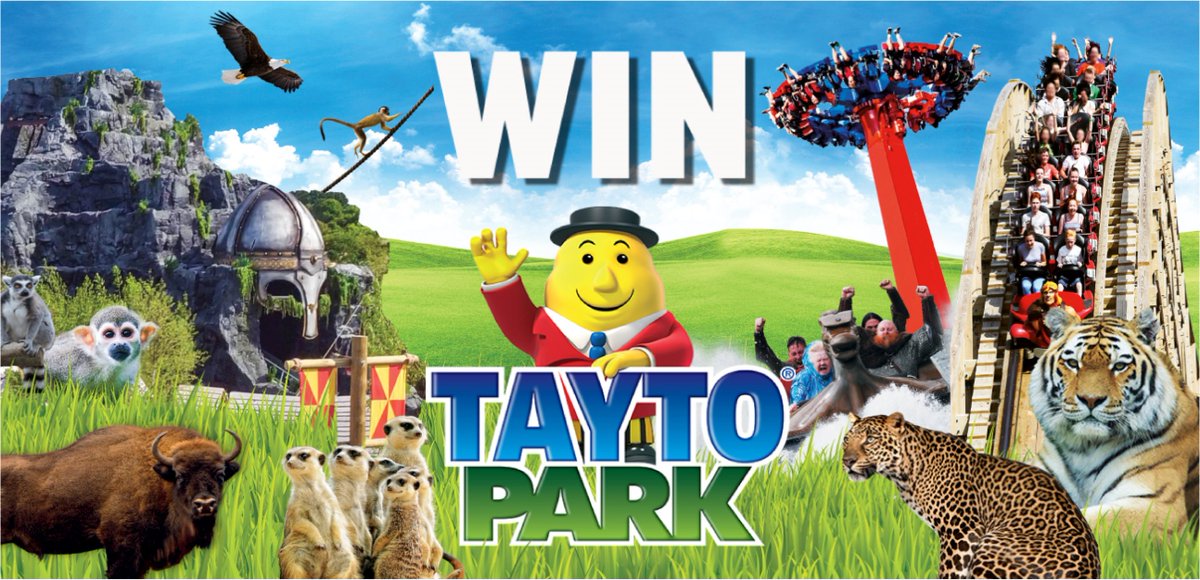 MrTaytoIreland's tweet photo. Hands up if you'd love a day out at Tayto Park this summer?? 
I have 4 tickets to giveaway!! 🤩❗️
Tell me who you'd take with you for a chance to win.
#Tayto https://t.co/dc6HQiWwcA