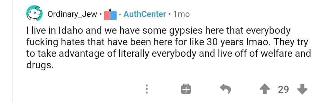 TW // Anti-Ziganism Hate Speech Racism Violence