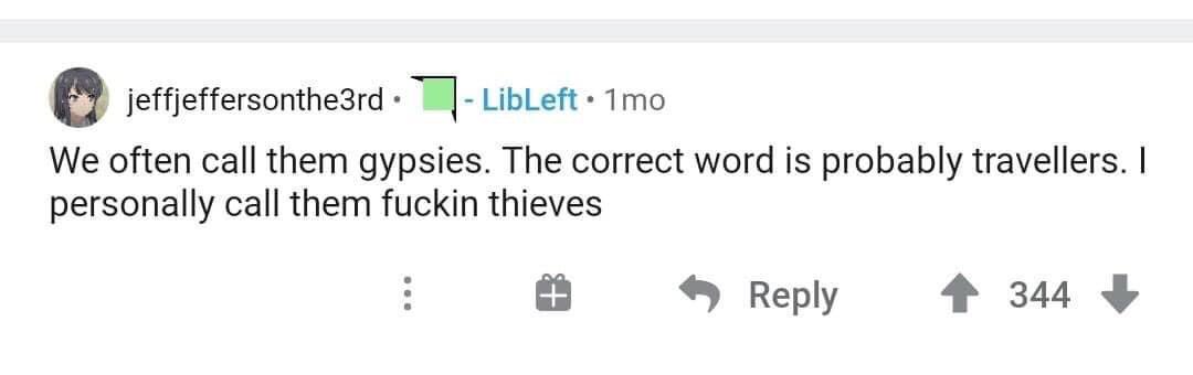 TW // Anti-Ziganism Hate Speech Racism Violence s