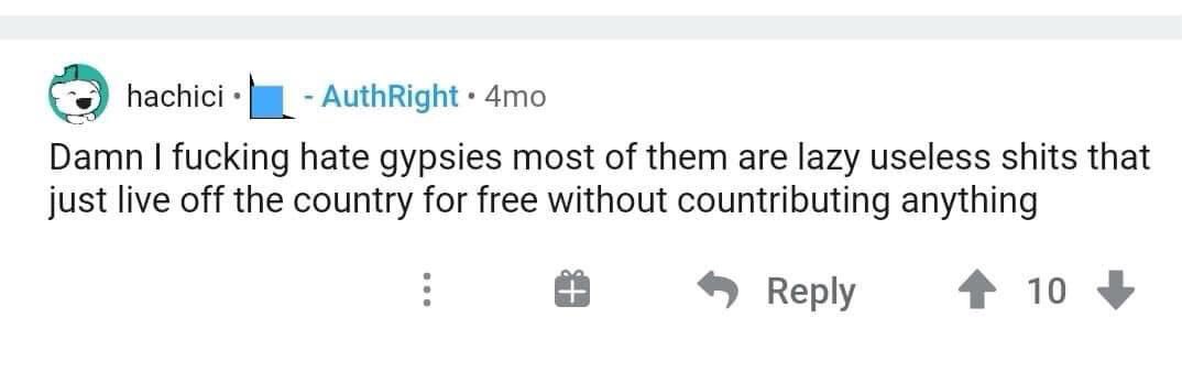 TW // Anti-Ziganism Hate Speech Racism Violence yuii