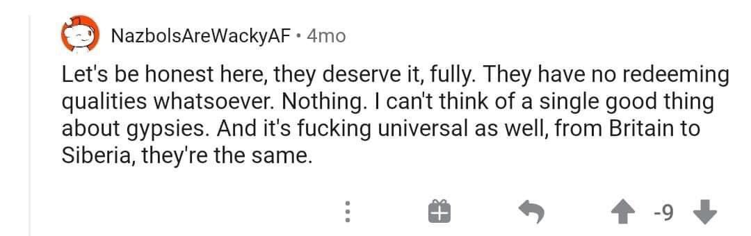 TW // Anti-Ziganism Hate Speech Racism Violence yuii