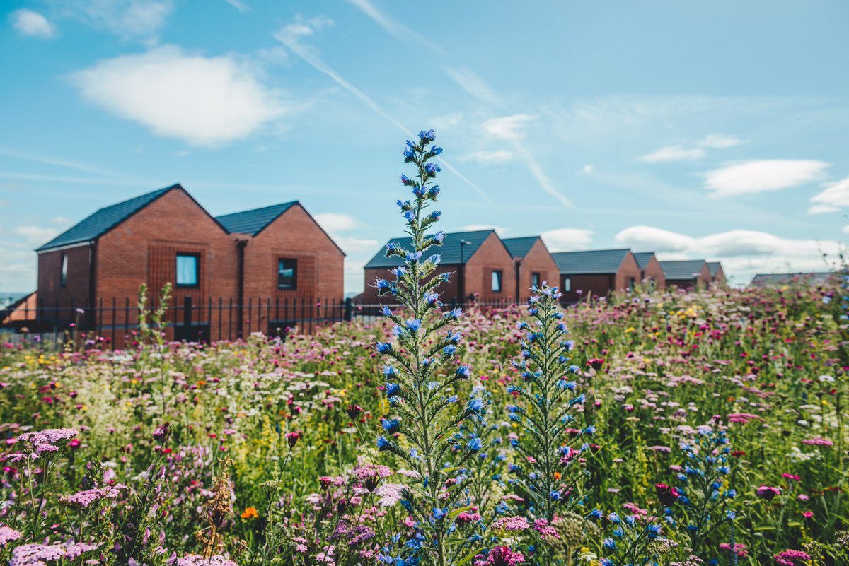 South Yorkshire Housing Association tweet media