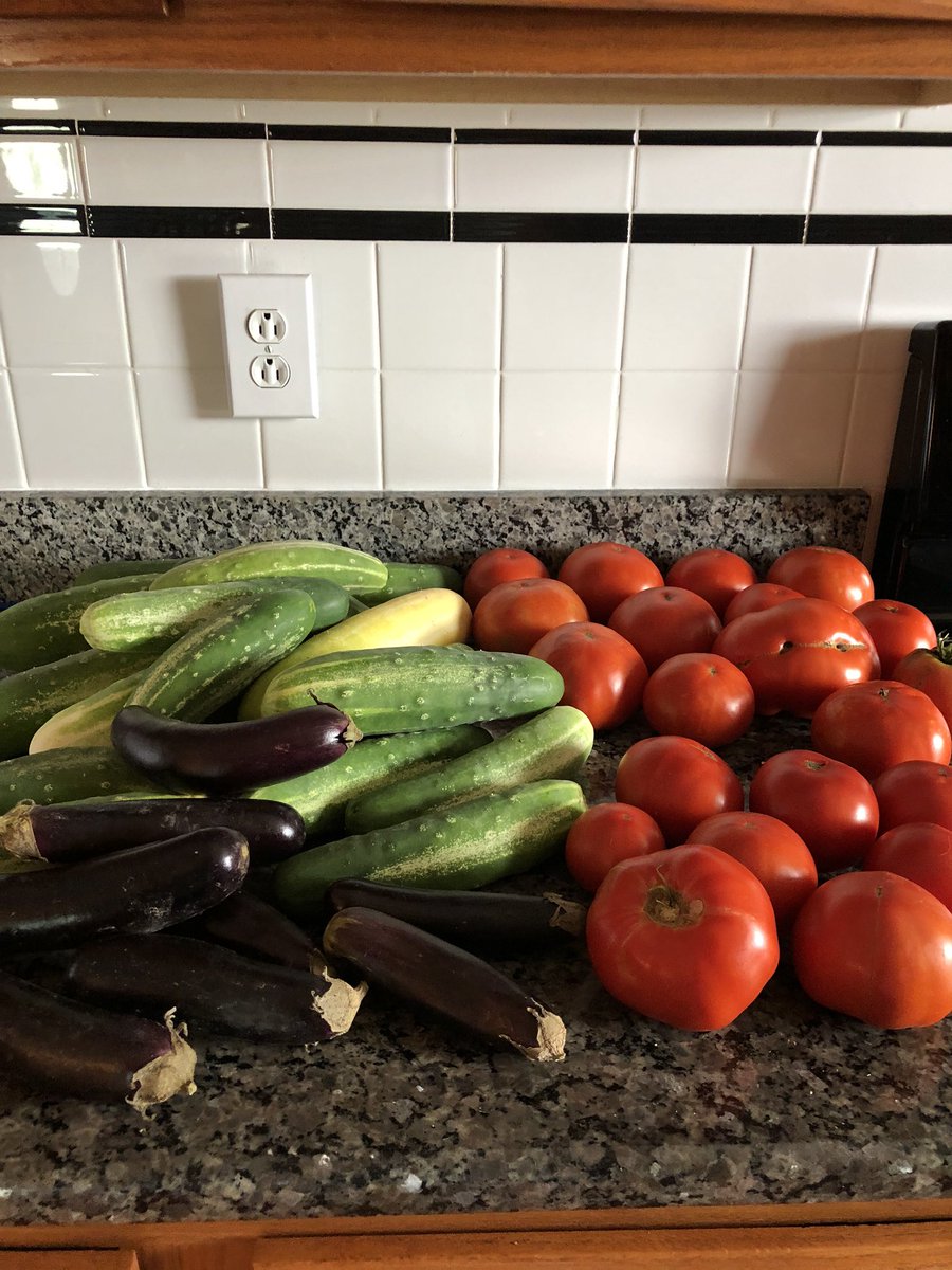 NoraWolfenbarg1's tweet photo. Does everyone’s counter look like the farmers market? #EatYourVeggies #GardenersWorld #healthy #lovelifeunscripted https://t.co/9qnPR6USuu