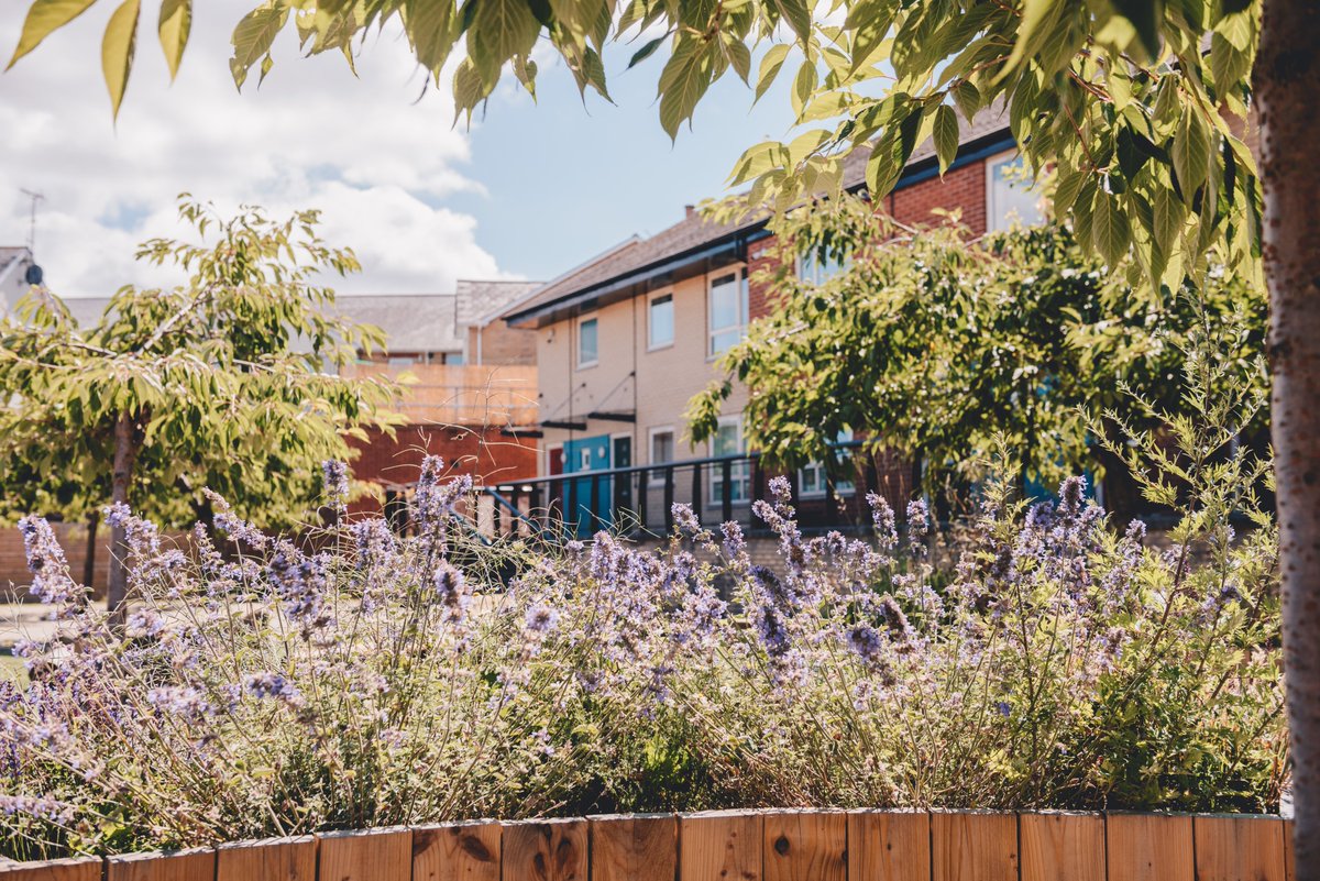 South Yorkshire Housing Association tweet media