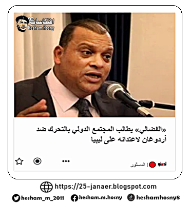 «الفضالي» يطالب المجتمع الدولي بالتحرك ضد أردوغان لاعتدائه على ليبيا