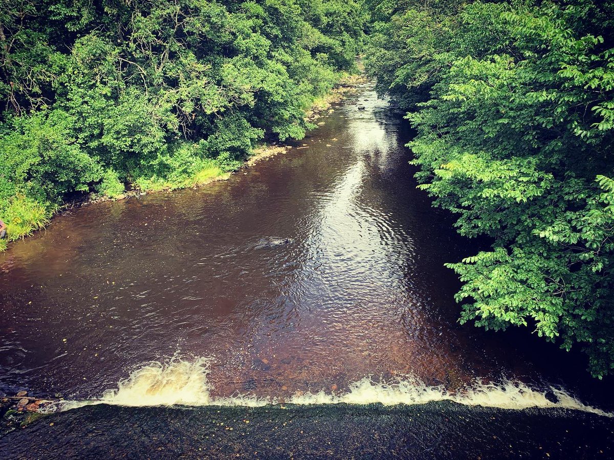 NatalieS157's tweet photo. Nice Little Drive Out And Walk Yesterday! Felt Good To Leave The House For A Hour Or So! Been A Good Day!
☺️😌☀️🌤🌲🌳🍃🌊💛💚
#DriveOut #Walk #Photography #TakingPictures #Yesterday #England #GettingSomeFreshAir #DayVenture #GoodDay #Nature #Trees #Brushes #River #Allensford https://t.co/kg0Ptdgx3N