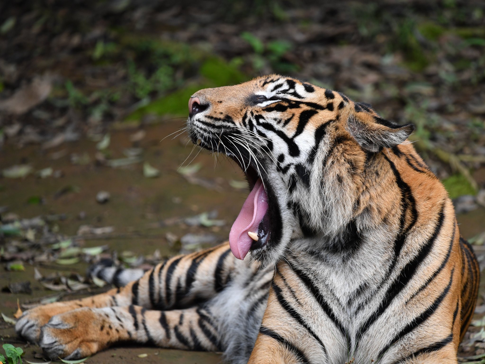 Ed7pyG0UMAAICMT.jpg:large