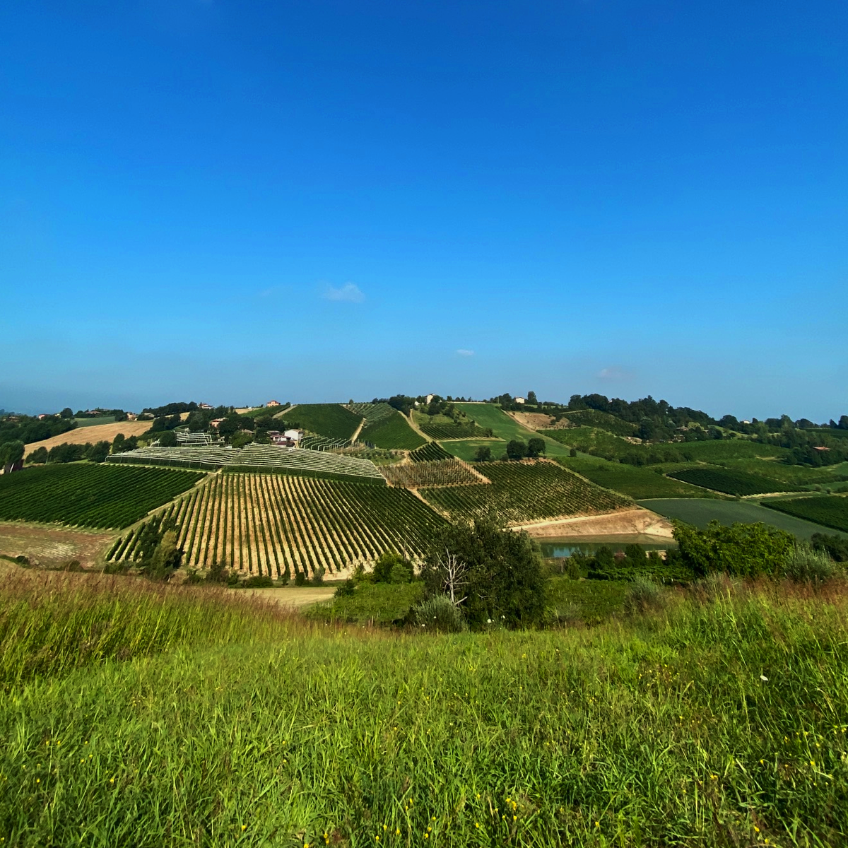 fruitecom_rp's tweet photo. La bellezza di lavorare circondati dalla natura! 
Buon lunedì! 👩‍💻🌱
#fruitecom #pr #agency #communication #socialmedia #food #wine #nature https://t.co/557NBJ7ygz