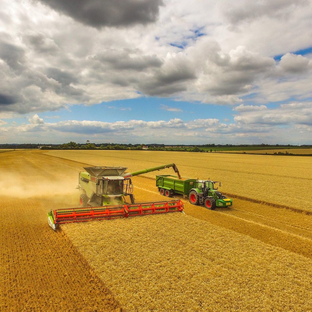 The new machine in action #wheat #Claas #Lexion #8900