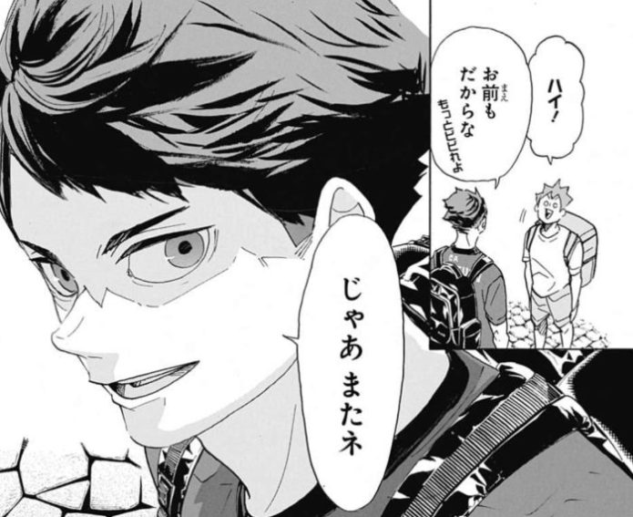 日向翔陽 ブラジル 日向翔陽 ブラジル