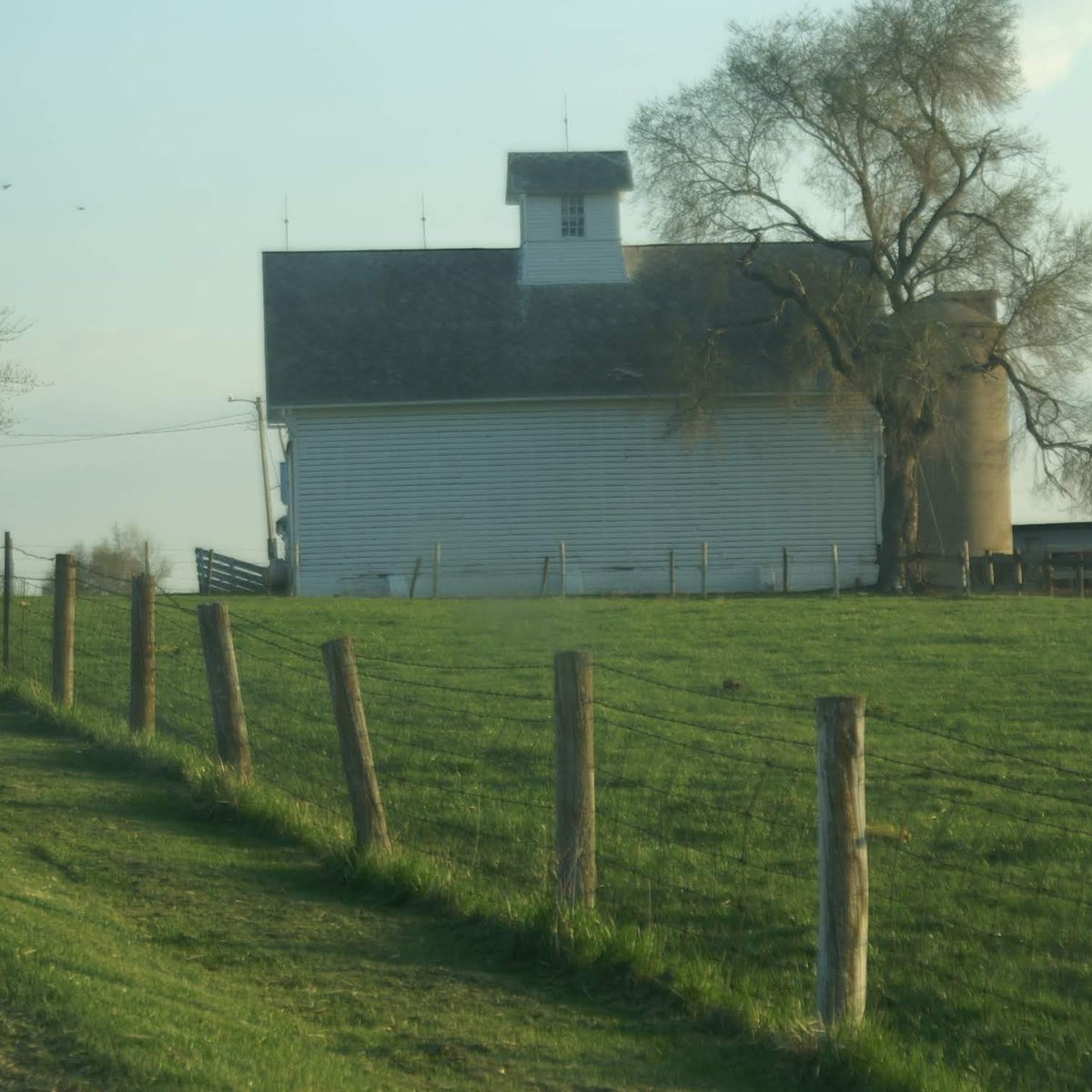 WKevinNelson's tweet photo. Good morning! ๐
#todayisagift #hoyesunregalodedios #everydaysablessing #thankfuleveryday #bendigassiempre #fencesofinstagram #corncribsofillinois #ruralmorning #roadsidecaptures #midwestcaptures https://t.co/hsUmXPiswF
