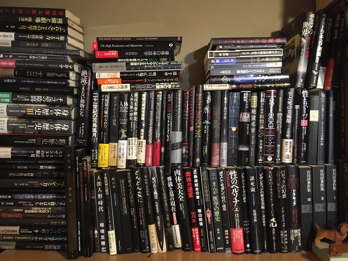 探してる本が通常の書棚にない。もしかして表紙黒いんじゃない？と自問 