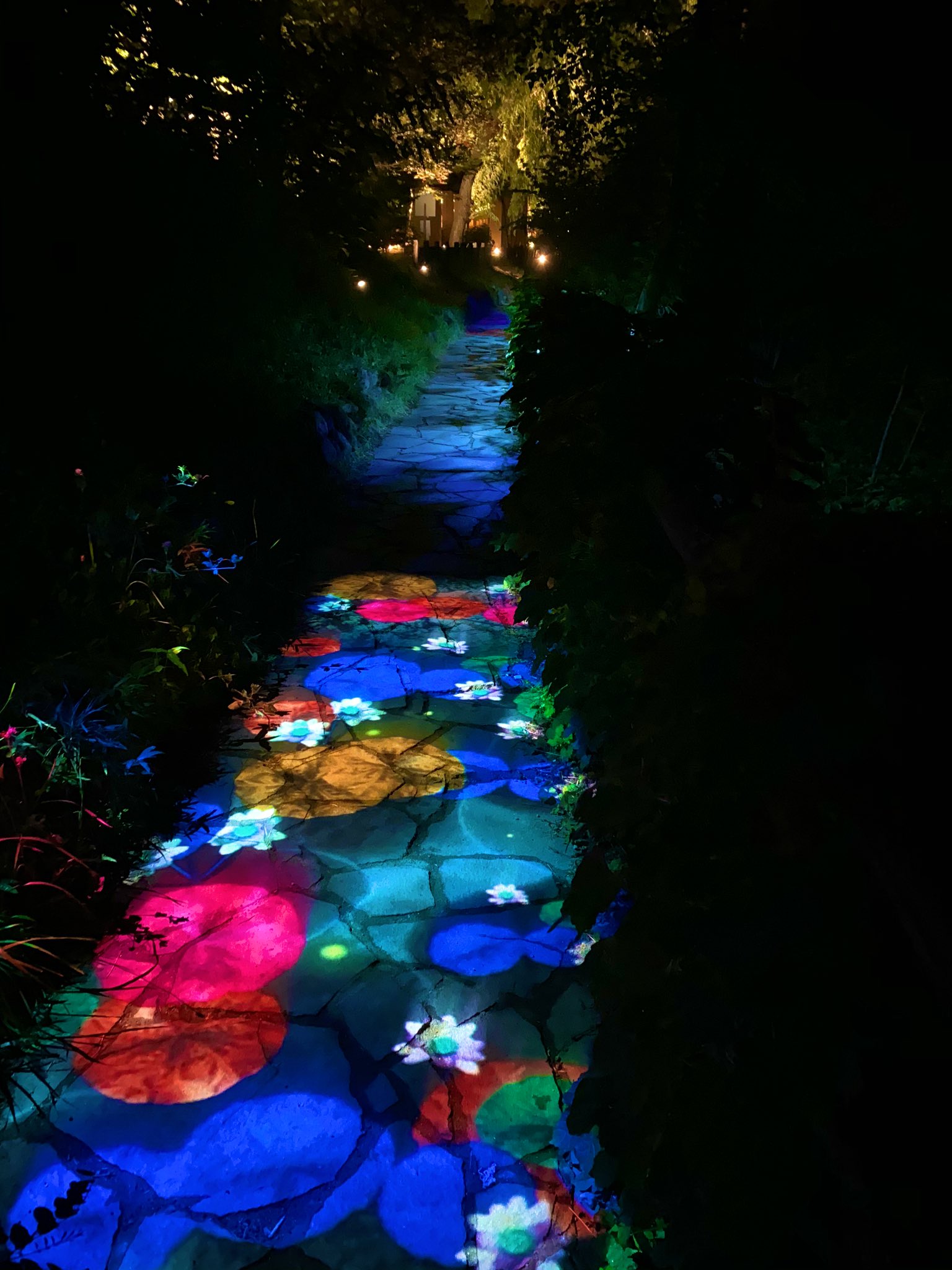 りみ Jozankei Nature Luminarie Jnlキャンペーン T Co 5fnouhtb6z Twitter