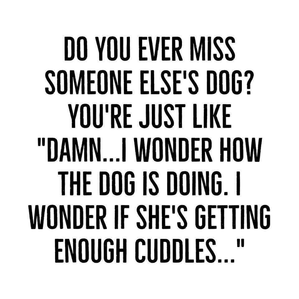 RoseRockin98's tweet photo. Can't wait for cuddle time... https://t.co/TZr36kBoPG