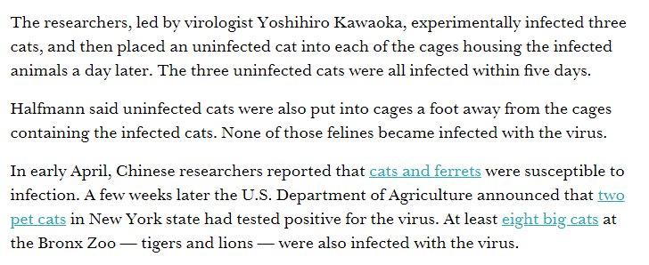 ariehkovler's tweet photo. We know cats can catch Covid-19 from humans. We also know cats shed live virus enough that cats can catch it from each other. https://t.co/xLUAtajKAl https://t.co/wA05xukaLR