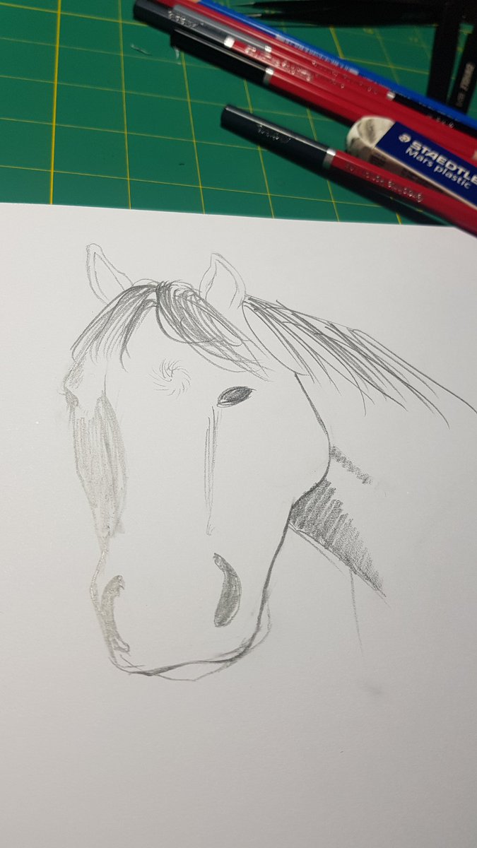 hanny 🐴🍝 tweet media