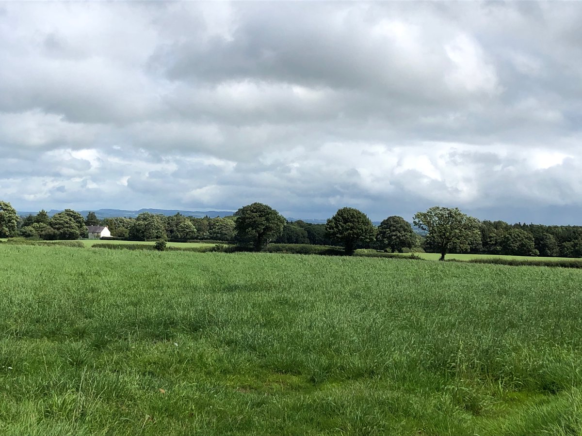LivYoung15's tweet photo. Cooking up a little lunch time treat in Wales. Lovely walk and the rain is disappearing. #walking #outdoors #cooking #eyton https://t.co/qcGm0oY0Bz