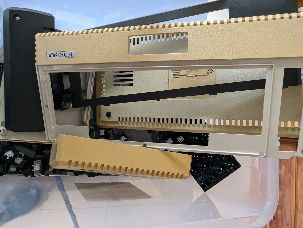 Thomas Fleming tweet media