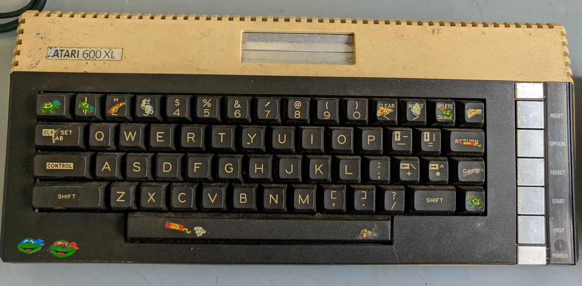 Thomas Fleming tweet media