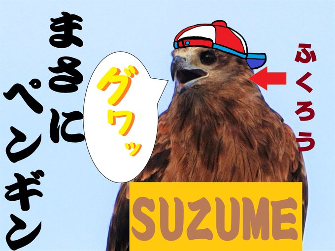 殺伐としたミミズ配信にカラスのスバルが!!!!!

#生スバル
#プロテインザスバル 