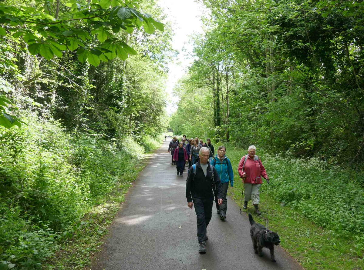 ManCityCouncil's tweet photo. Do you use the Fallowfield Loop?

We want your ideas to help make it better and safer to encourage more people to use this route, running from Chorlton in the West through Fallowfield and Levenshulme to Gorton and Fairfield in the East of Manchester.

https://t.co/yOGfjTjrqU https://t.co/o8cvrvAOqY