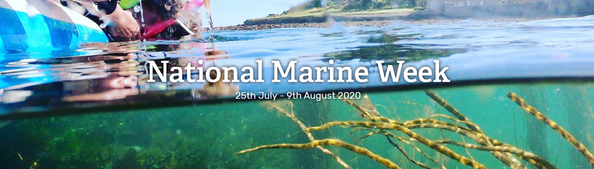 We’re celebrating National Marine Week across the James Fisher group to highlight the importance of protecting sea life and the marine environment. Read about our marine sustainability actions here: bit.ly/3jITVWS 

#NationalMarineWeek