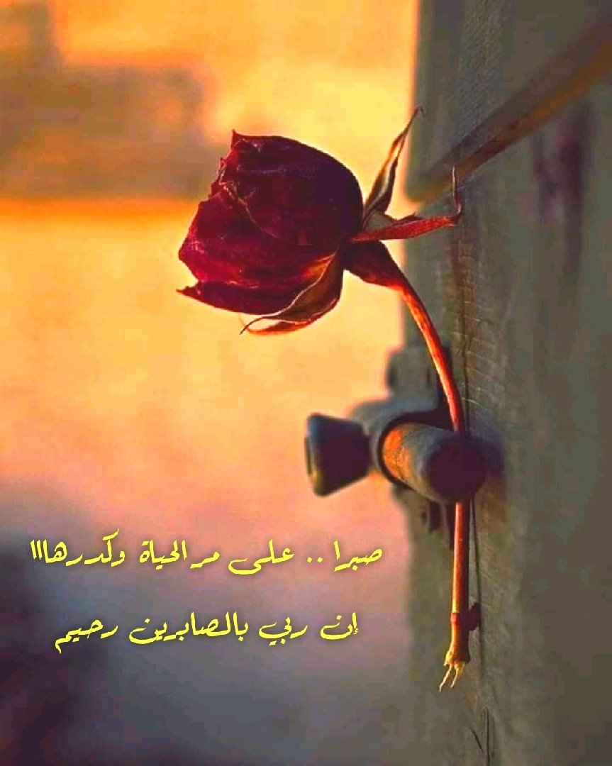 مساااء الخير 🌹