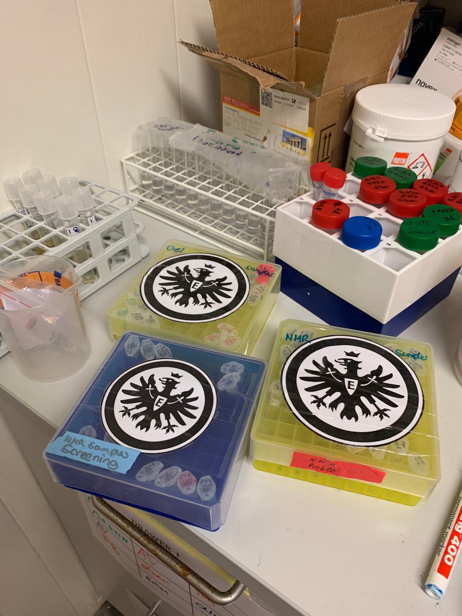 Covid19-NMR (@covid19nmr) on Twitter photo Covid19-NMR researchers <a href="/goetheuni/">Goethe-Universität</a> Frankfurt love their RNA samples as much
as their favorite soccer team <a href="/Eintracht/">Eintracht Frankfurt</a> Frankfurt, consequently all RNA
samples are named after players or coaches.
#weloveRNA #SGE #FightCOVID19 Covid19-NMR researchers <a href="/goetheuni/">Goethe-Universität</a> Frankfurt love their RNA samples as much
as their favorite soccer team <a href="/Eintracht/">Eintracht Frankfurt</a> Frankfurt, consequently all RNA
samples are named after players or coaches.
#weloveRNA #SGE #FightCOVID19