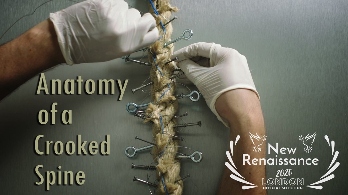 Kate Morrison tweet media