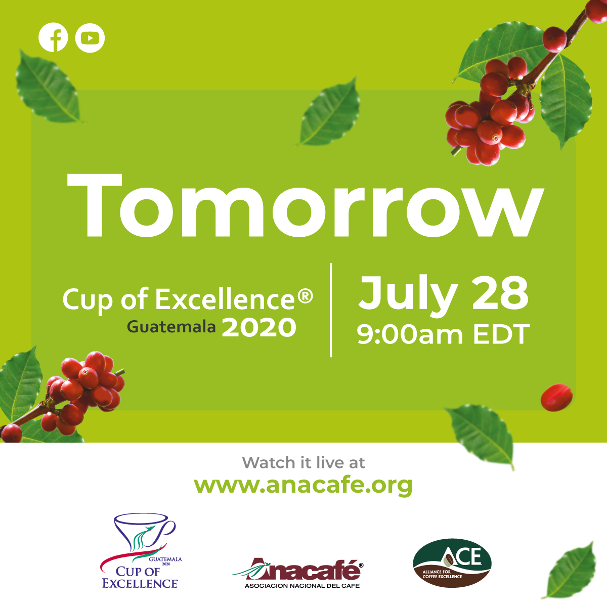 cupofexcellence's tweet photo. Join us for a live transmission of the Guatemala Cup of Excellence auction!
https://t.co/IY6emgtNRI https://t.co/ti6Iem6obB