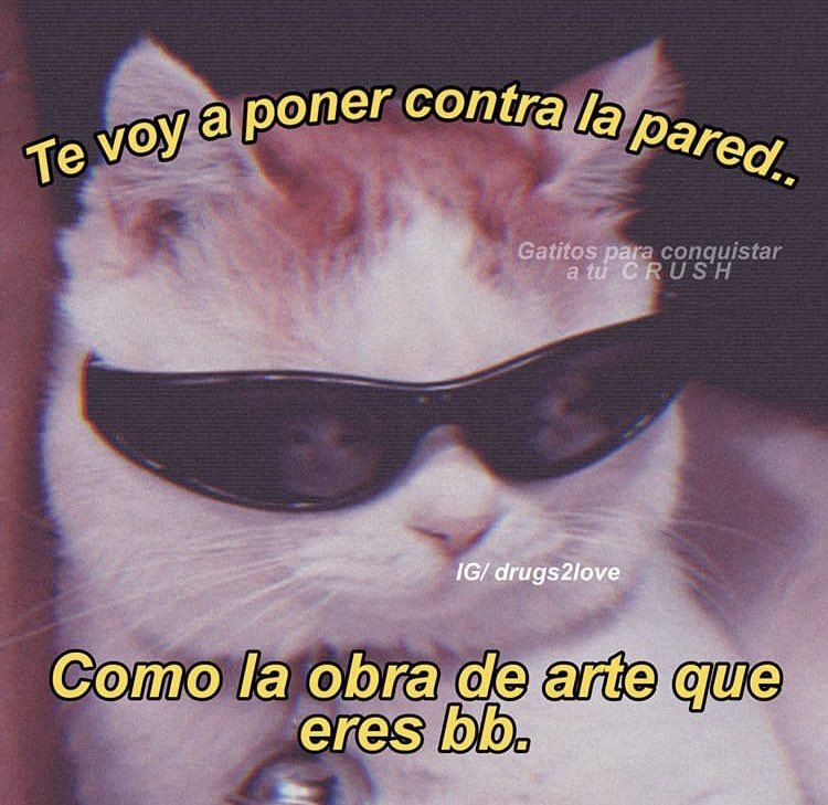 MAGNUSÍN tweet media