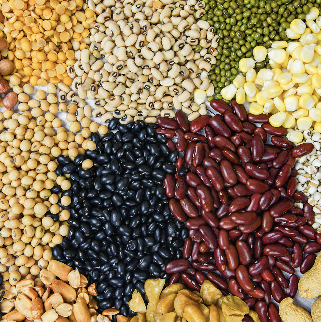 #NutriciónUC En pandemia, el Curso de Introducción a la Nutrición de primer año adaptó la Metodología Aprendizaje y Servicio (A+S) para llegar a los Jardines de la comuna de #Renca de manera Online. 
Revisa esta noticia en nutricion.uc.cl