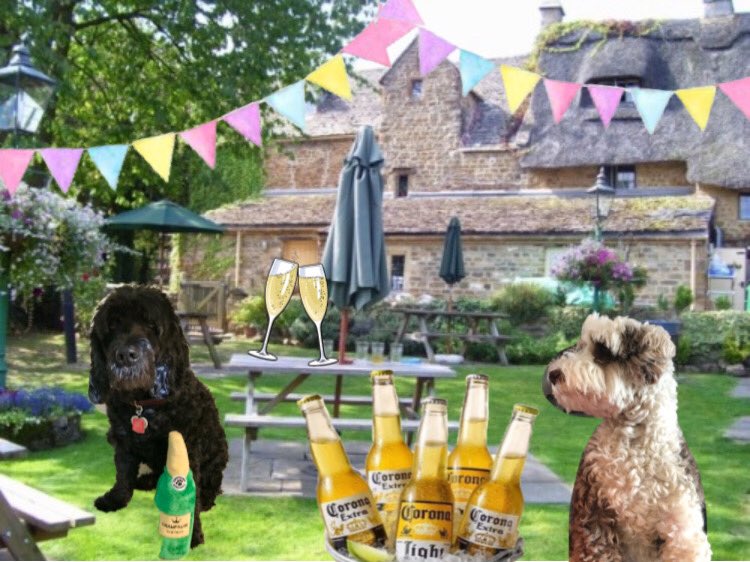 @RedfordNBaxter We’ve set up a garden party for your mum pal. It’s a bring your own snossiges party 😃❤️