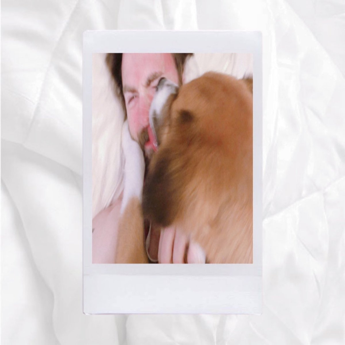 your polaroids if chris evans was your boyfriend — 𝒂 𝒕𝒉𝒓𝒆𝒂𝒅 